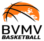 bvmv logo